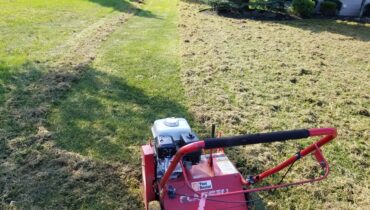 lawn repair & renovation
