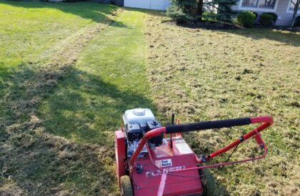 lawn repair & renovation