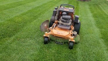 weekly lawn maintenance